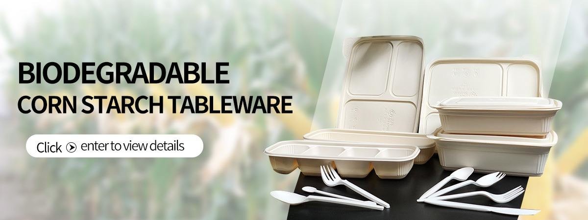 quality Biodegradable Take Away Box Service
