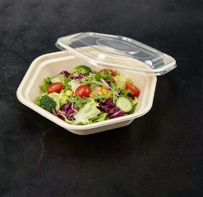 New Hexagonal Salad Takeout Box Launch | Trendy "Insta-style" Light Meal Container