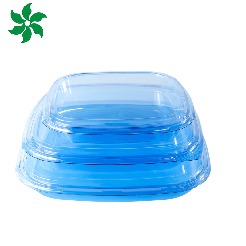 Takeaway Packaging Box Plastic For Good Food Square food container Plastic BLUE Disposable Sushi box