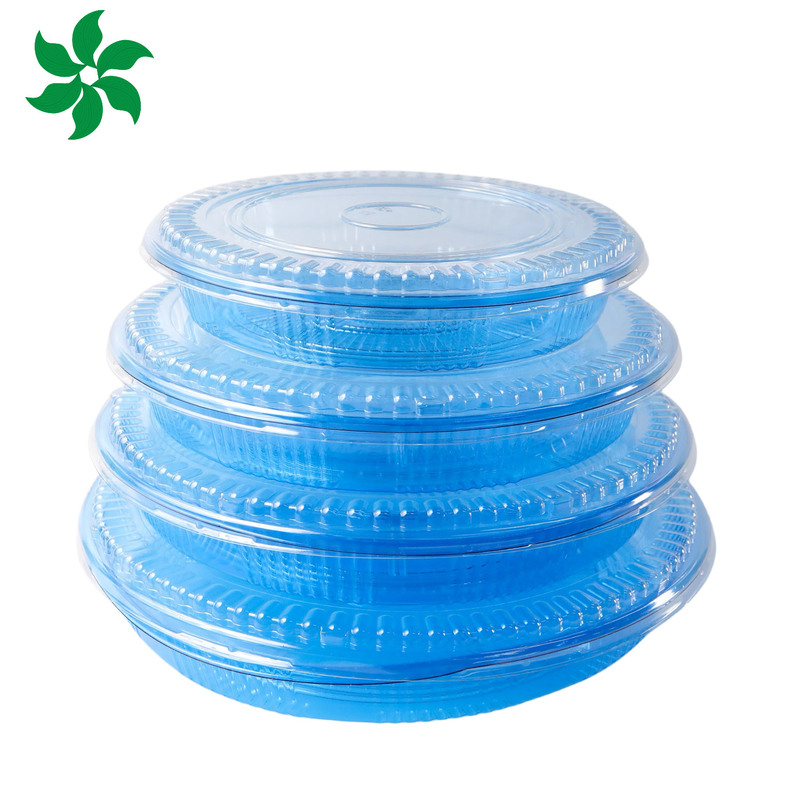 Takeaway Packaging Box Plastic For Good Food Square food container Plastic BLUE Disposable Sushi box