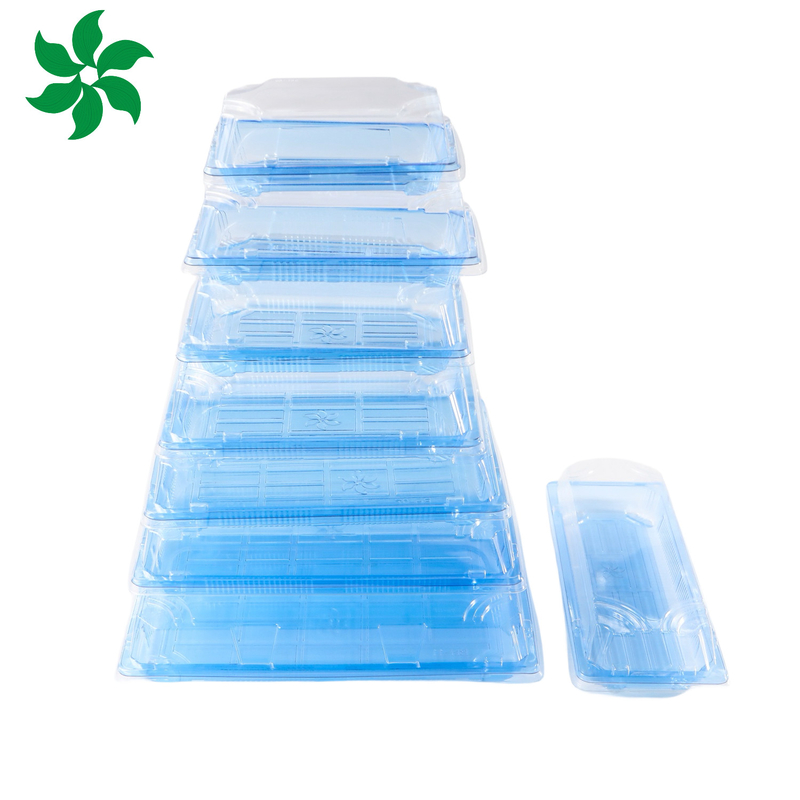 Takeaway Packaging Box Plastic For Good Food Square food container Plastic BLUE Disposable Sushi box