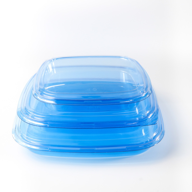 Square food container Takeaway Packaging Box Plastic For Good Food Plastic BLUE Disposable Sushi box