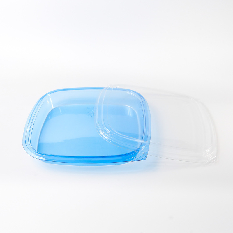 Square food container Takeaway Packaging Box Plastic For Good Food Plastic BLUE Disposable Sushi box