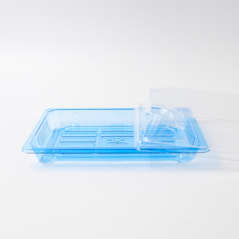 BH00-11 food container Takeaway Packaging Box Plastic For Good Food Plastic BLUE Disposable Sushi box