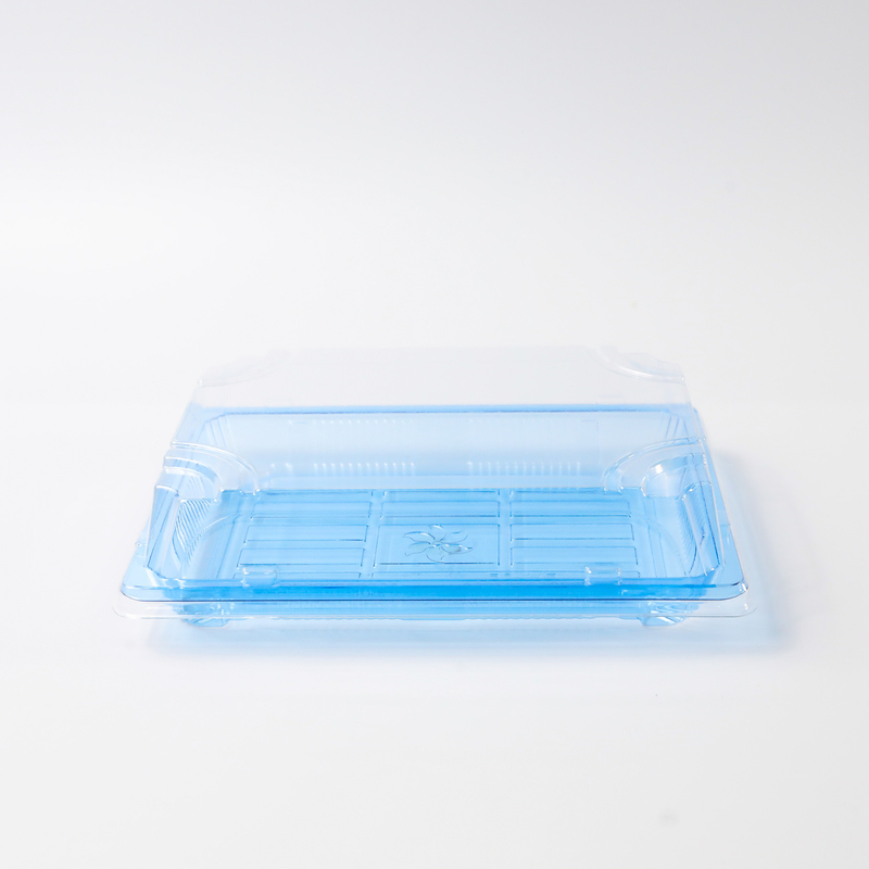 BH00-11 food container Takeaway Packaging Box Plastic For Good Food Plastic BLUE Disposable Sushi box