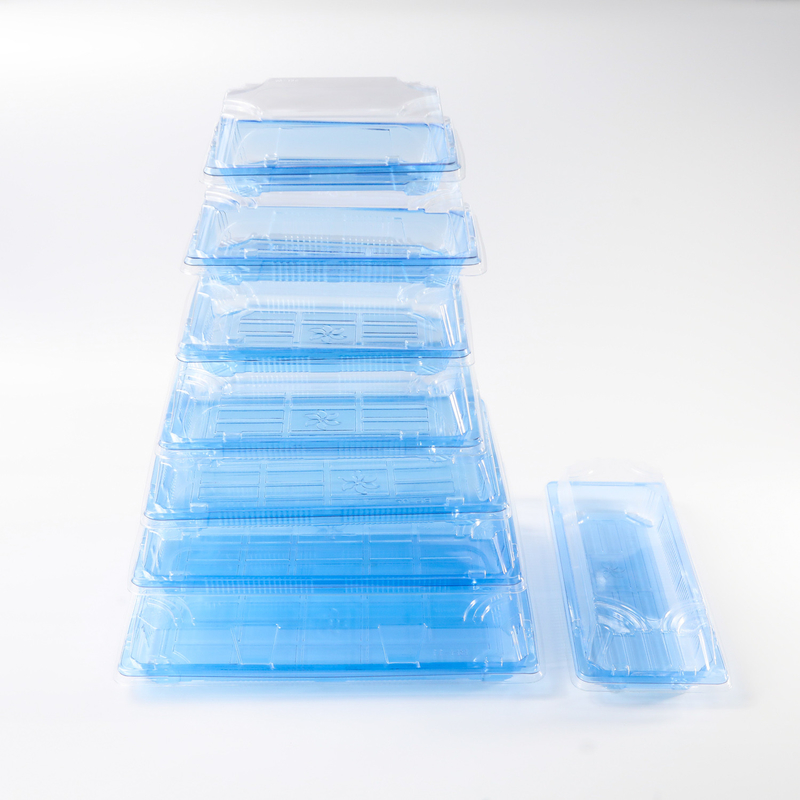 BH00-11 food container Takeaway Packaging Box Plastic For Good Food Plastic BLUE Disposable Sushi box