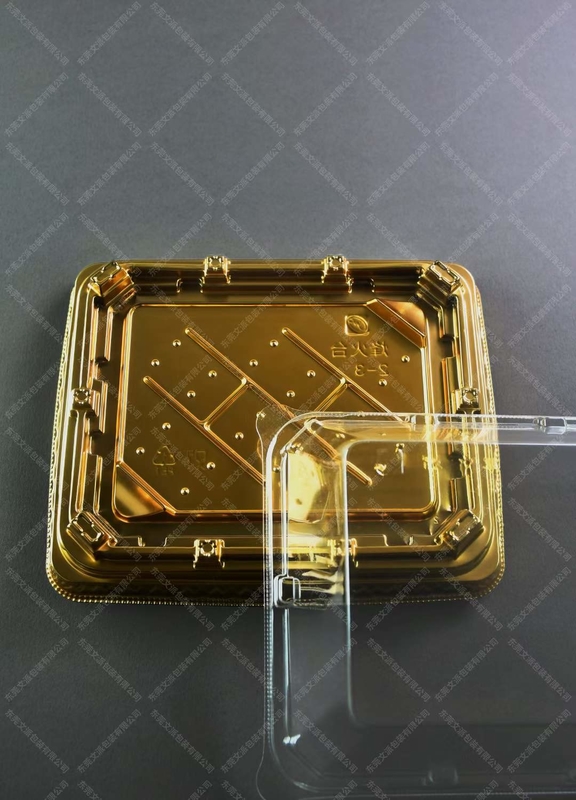 Traditional Japanese Sushi Box in Plastic for Food and Fruit Service