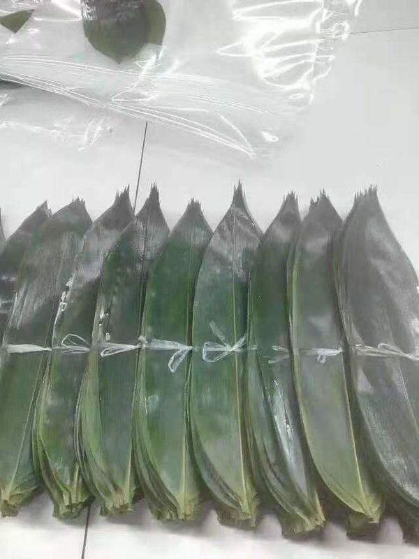 Pollution Free 7cm Fresh Bamboo Leaves For Decorating Sushi