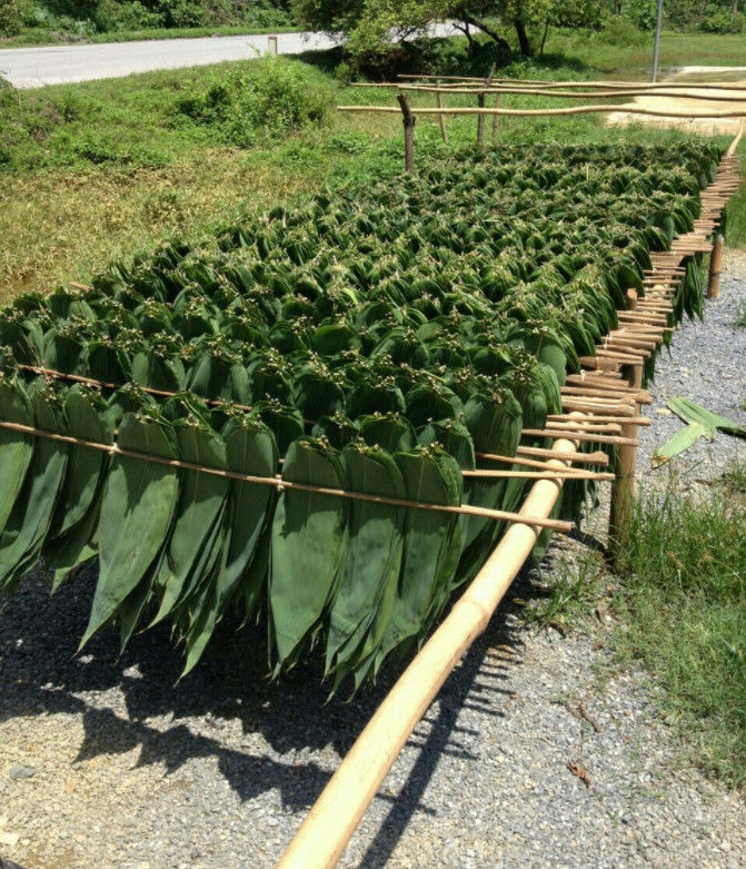 No Pollution 30cm Bamboo Dry Leaves For Sushi Food