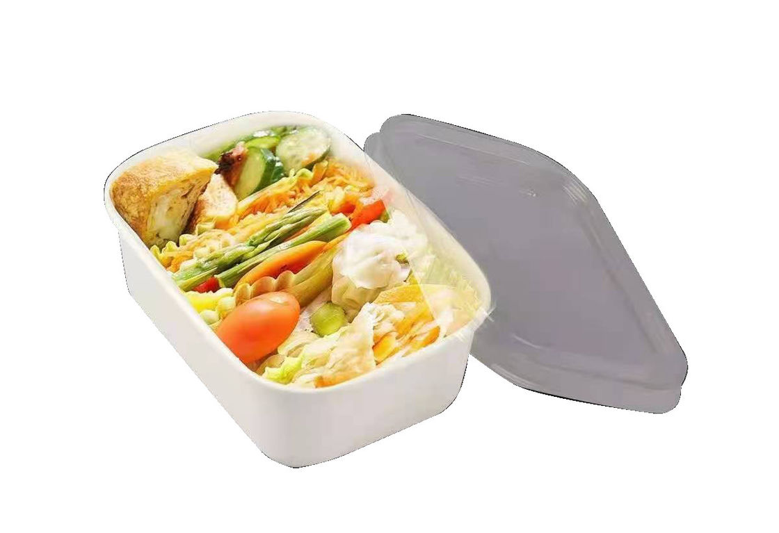 Square SGS Paper Take Away Box Biodegradable Disposable