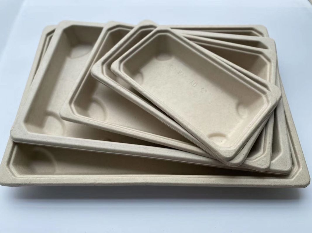 Paper Sushi Biodegradable Take Away Box Disposable