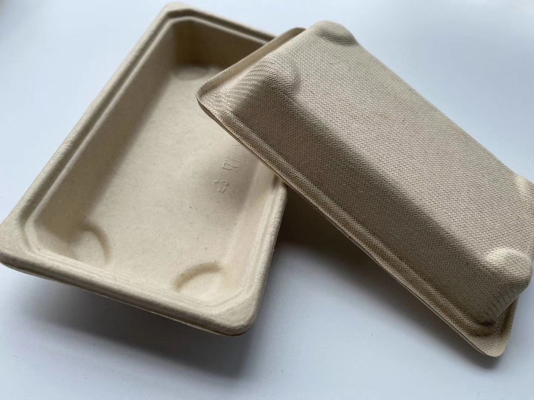 Paper Sushi Biodegradable Take Away Box Disposable
