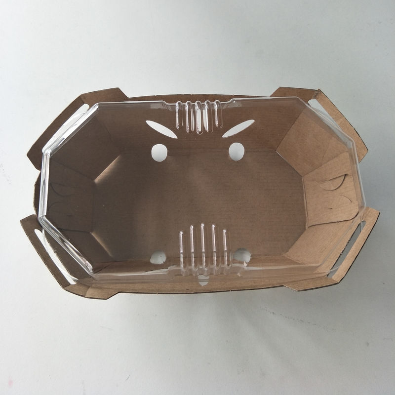 Recyclable 350gsm Kraft Paper Fruit Tray With PET Lid