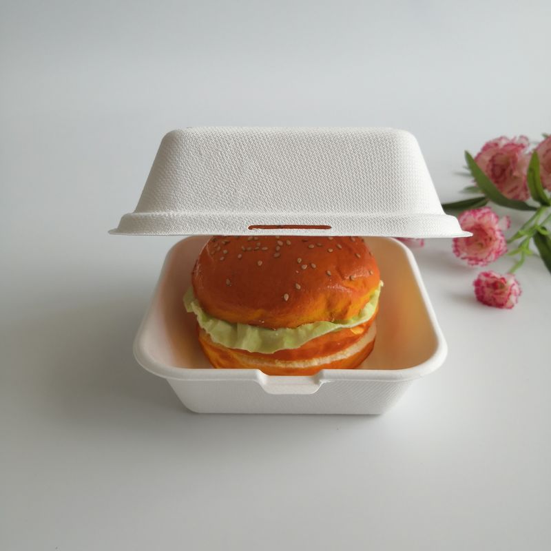 5 Inch 6 Inch Biodegradable Sugarcane Disposable Burger Box