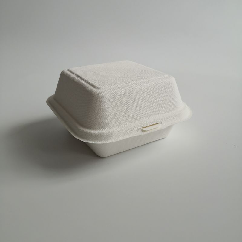 5 Inch 6 Inch Biodegradable Sugarcane Disposable Burger Box