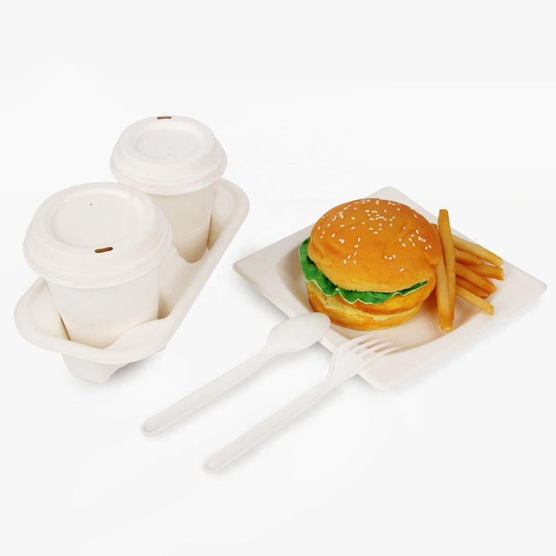 Disposable Compostable Takeaway Bagasse Food Tray