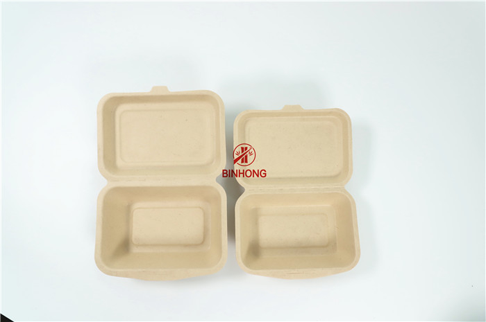 Sugarcane Desechables Fast Food Packaging Box Biodegradable Compostable