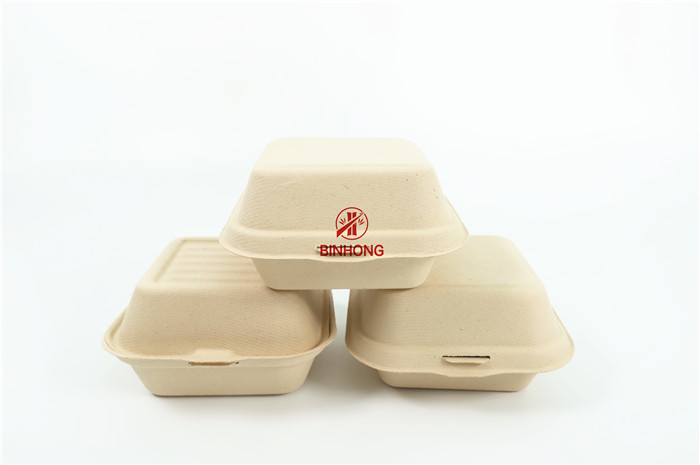 Clamshell Biodegradable Take Away Box Sustainable Fast Food Packaging